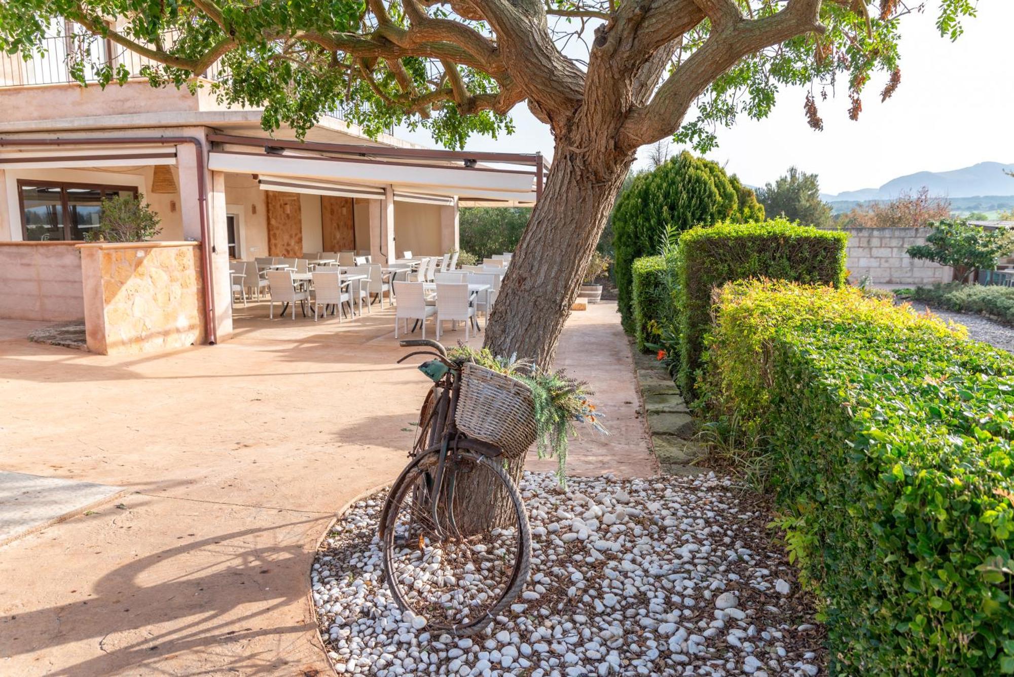 Agroturismo Can Pere Rei 손 세라 데 마리나 외부 사진
