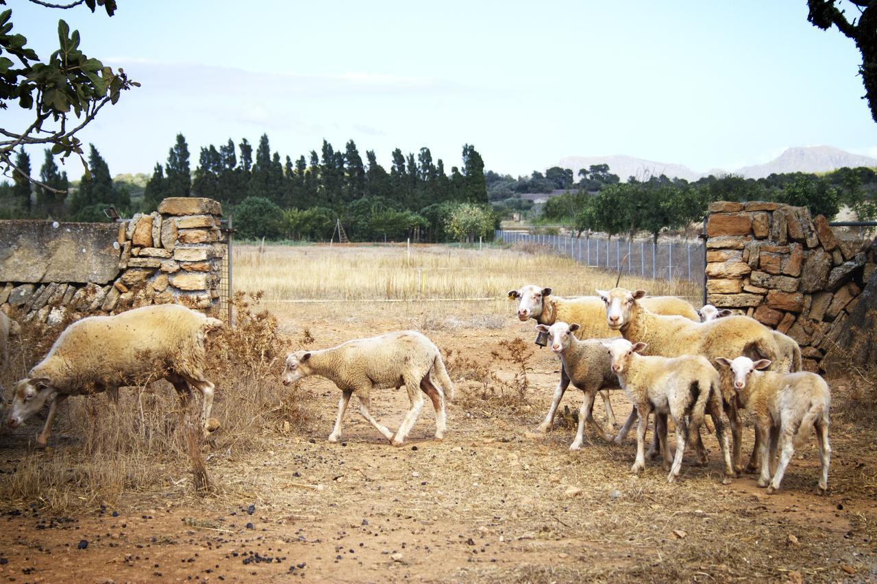 Agroturismo Can Pere Rei 손 세라 데 마리나 외부 사진